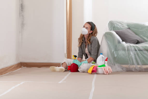 Reliable Mold Testing contractor in Pinellas Park, FL by WQB Mold Removal